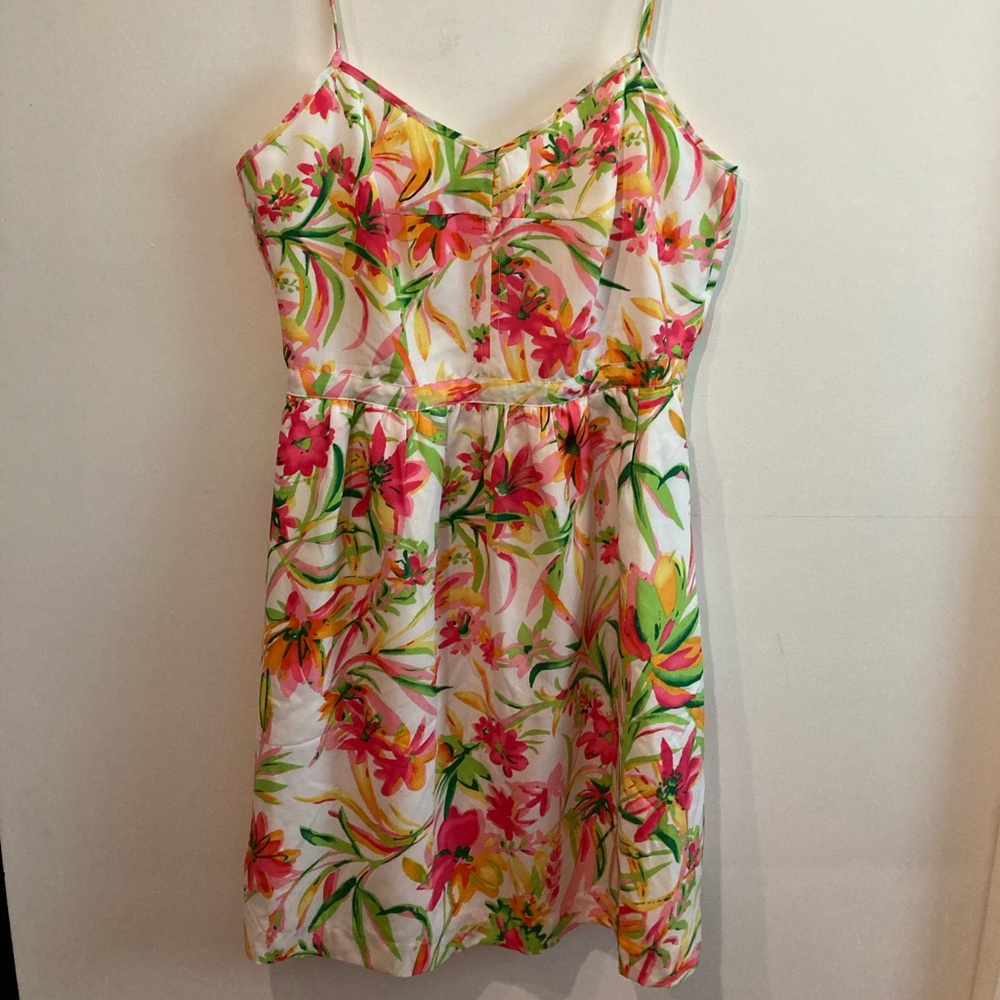 J. Crew Dress